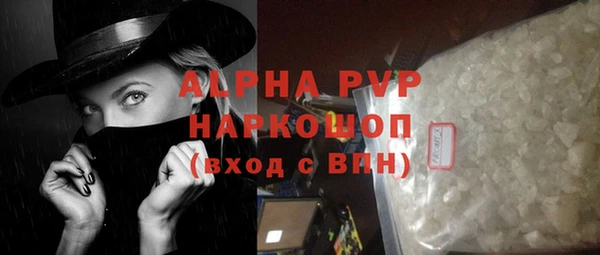 стаф Карпинск