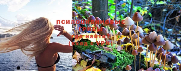 МДПВ Карталы
