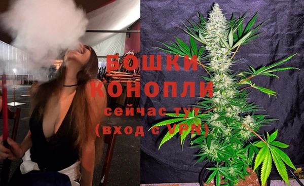 амф Касимов
