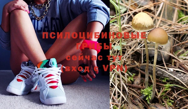 МДПВ Карталы