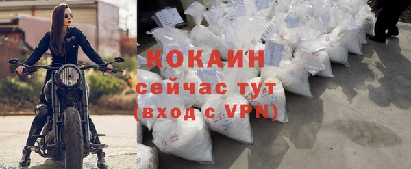 стаф Карпинск
