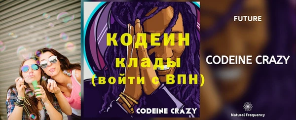 стаф Карпинск