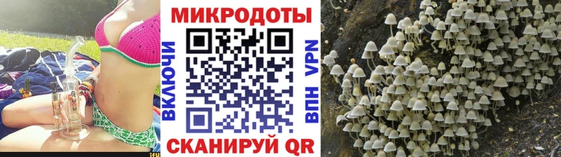 Купить закладки  Северобайкальск  Псилоцибиновые грибы MAGIC MUSHROOMS 